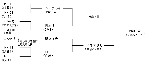 中部68号