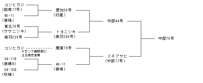 中部70号