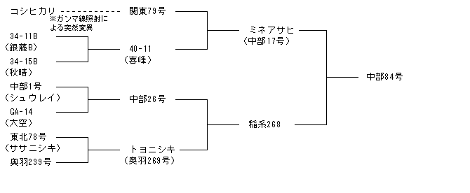 中部84号