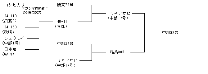 中部92号