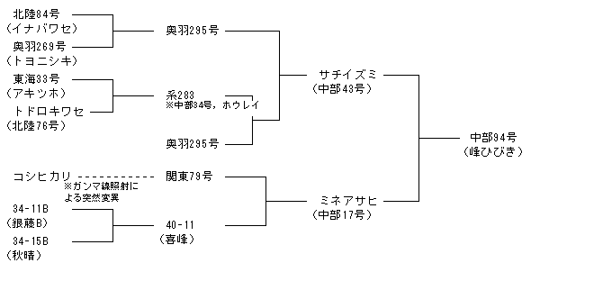 中部94号