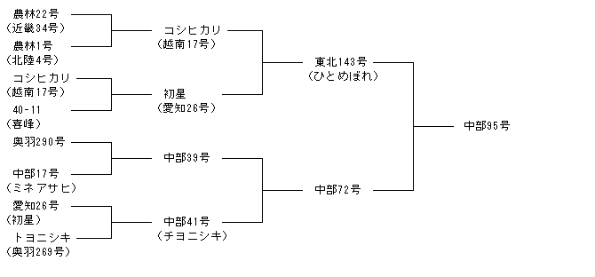 中部95号