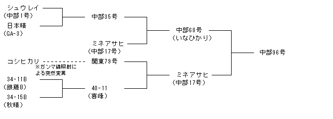 中部96号