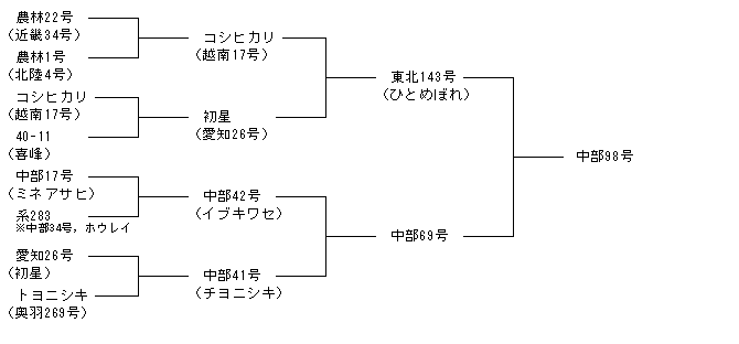中部98号