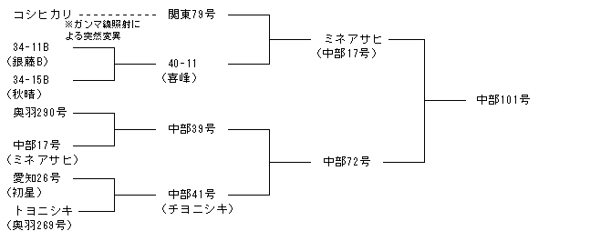 中部101号