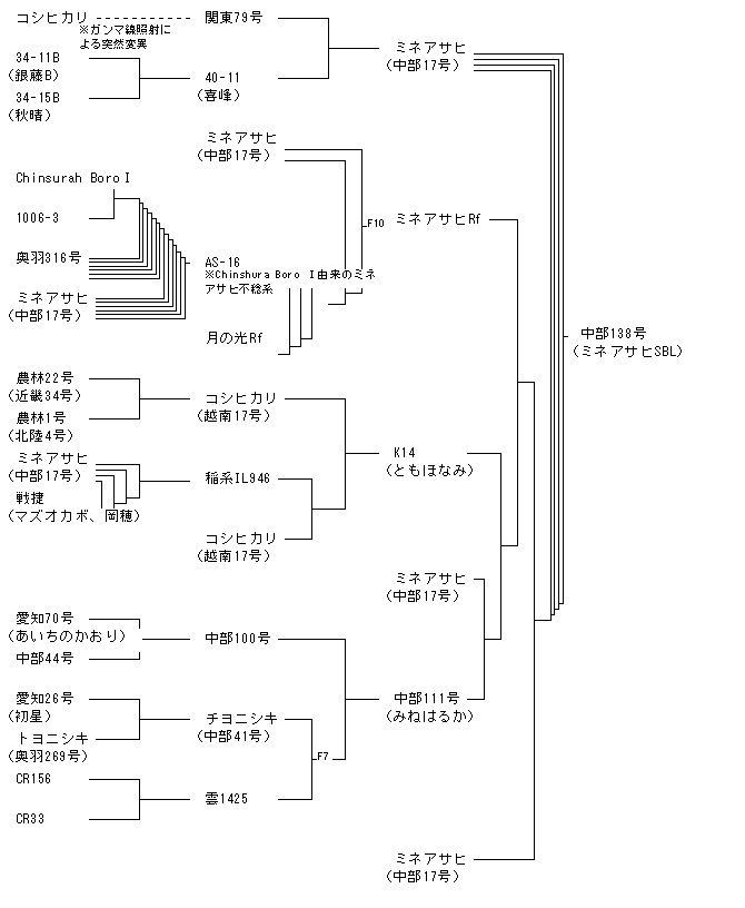中部138号