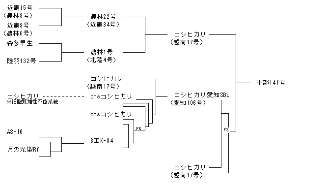 中部141号
