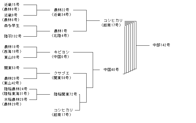 中部142号