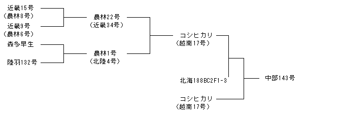 中部143号
