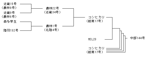 中部144号