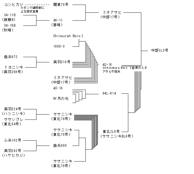 中部IL3号