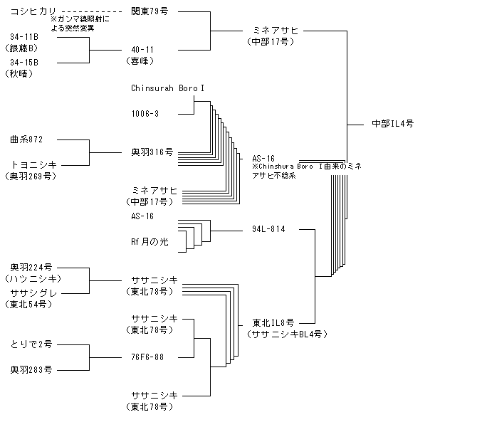 中部IL4号