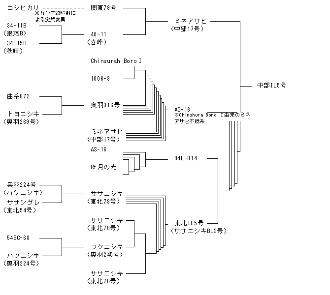 中部IL5号