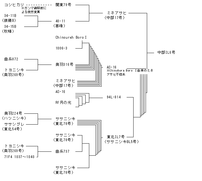 中部IL6号