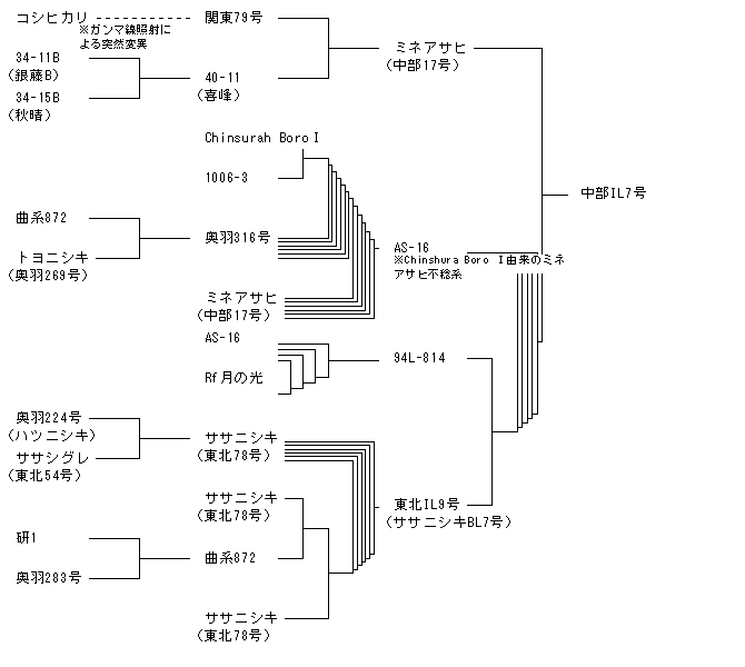 中部IL7号