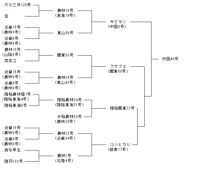 中国40号