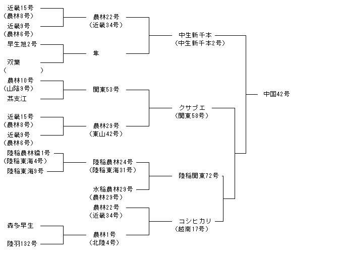 中国42号