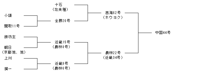 中国44号