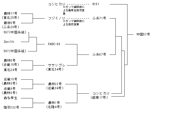 中国57号