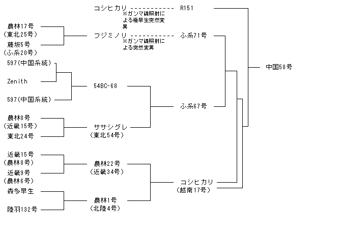 中国58号