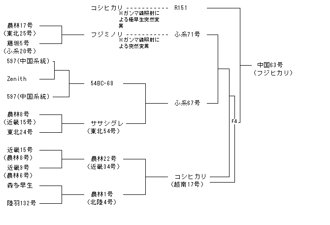 中国63号