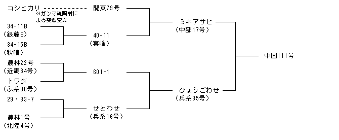 中国111号
