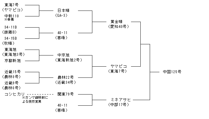 中国125号