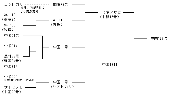 中国128号
