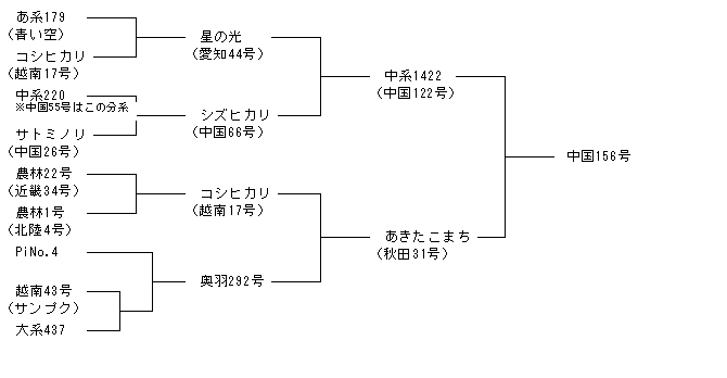 中国156号