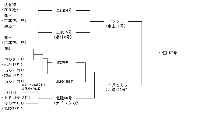 中国157号