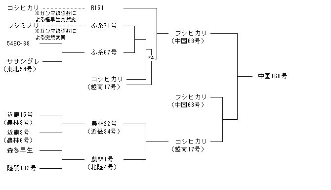 中国168号