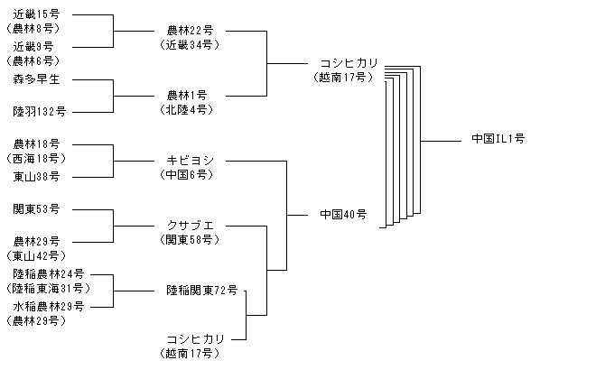 中国IL1号