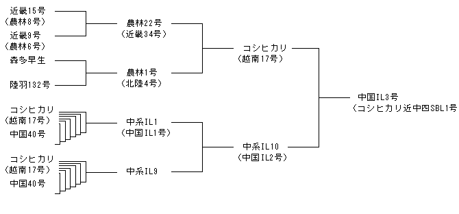 中国IL3号