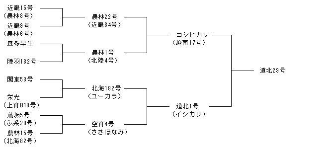 道北29号