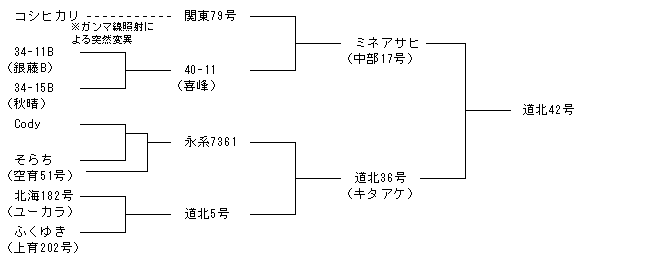 道北42号