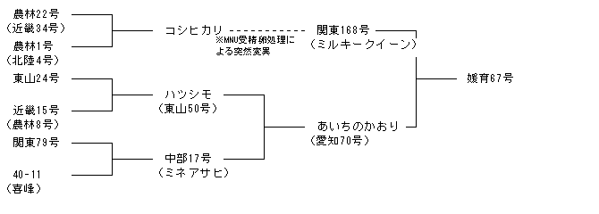 媛育67号