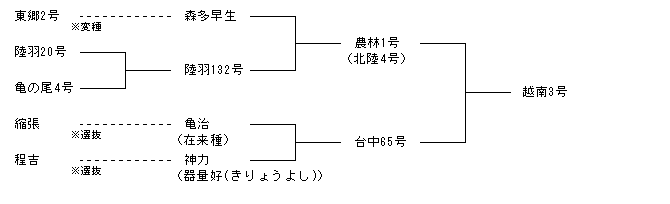 越南3号