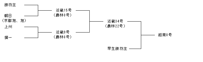 越南8号