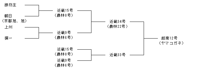 越南12号