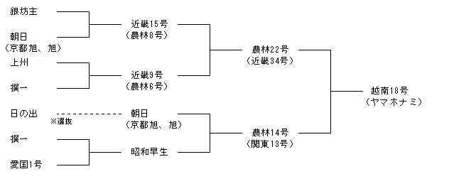 越南18号