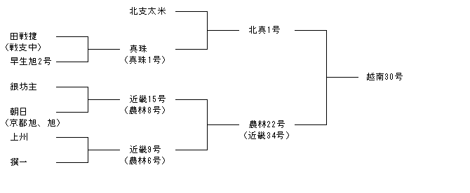 越南30号