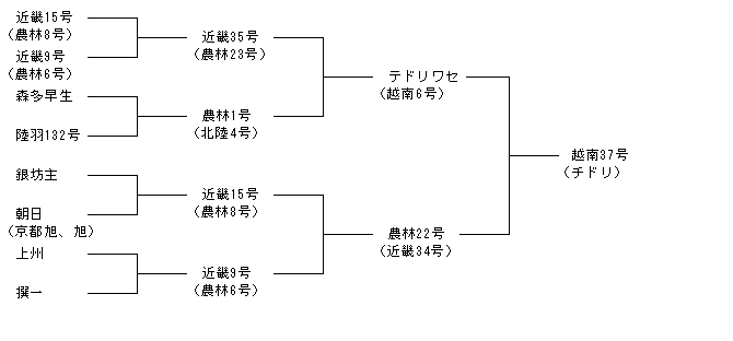 越南37号