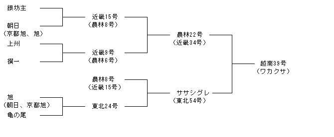 越南39号