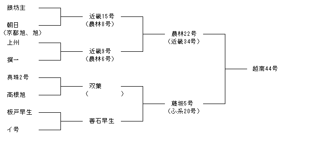 越南44号