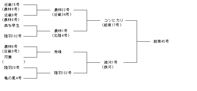 越南45号