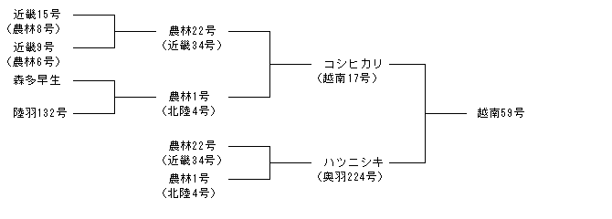 越南59号