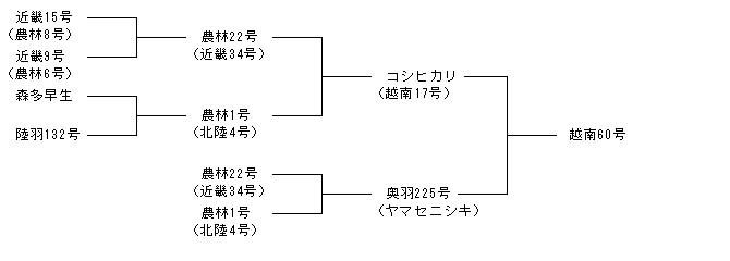 越南60号