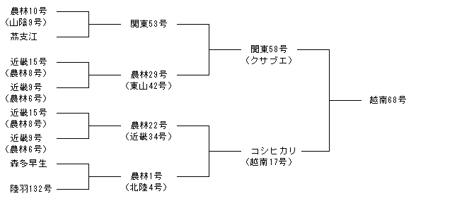 越南68号