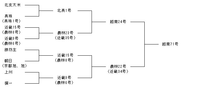 越南71号