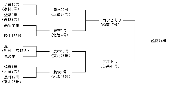 越南74号